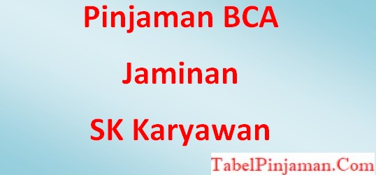Pinjaman Bank BCA Jaminan SK Karyawan, Tabel Angsuran 2023